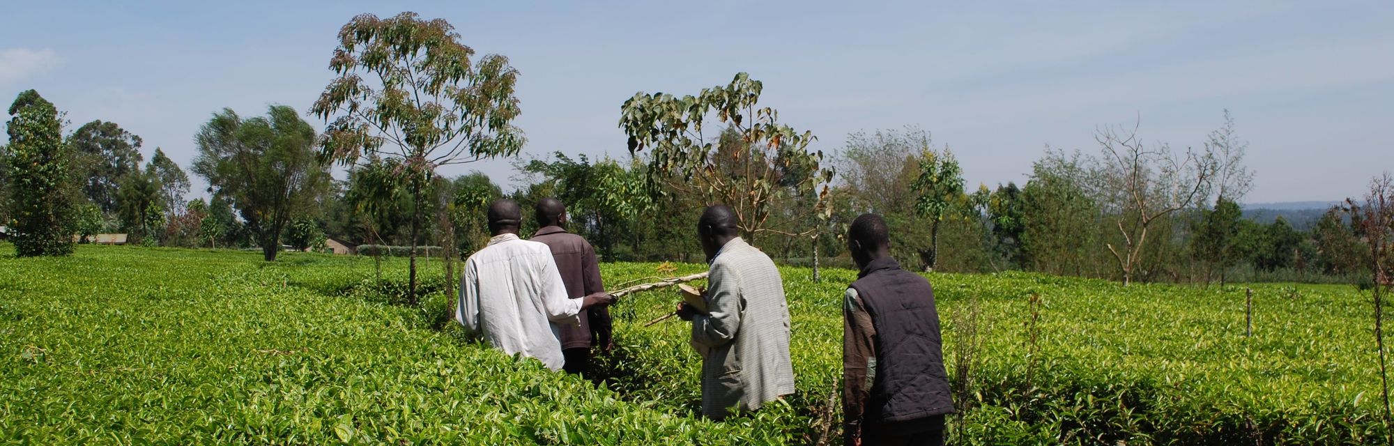 Kenyan Agritech Startup WeFarm Secures $1.6 Million In Funding