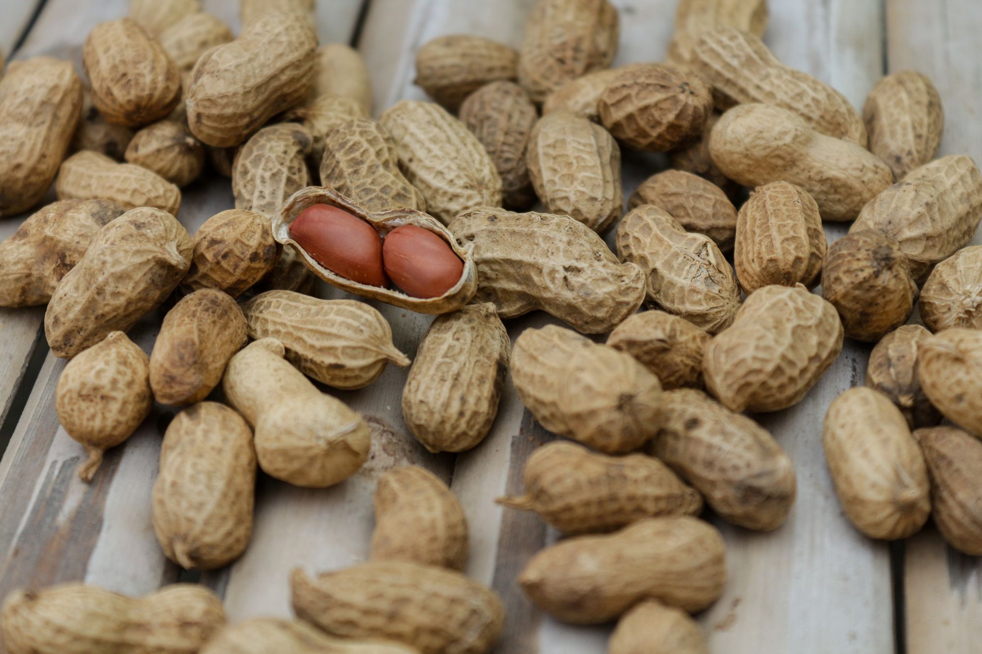 Do African Startup Pitch Competitions Offer Anything More Than Pre-allocated Peanuts?