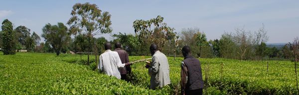 Kenyan Agritech Startup WeFarm Secures $1.6 Million In Funding