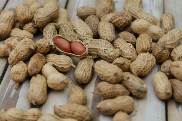 Do African Startup Pitch Competitions Offer Anything More Than Pre-allocated Peanuts?