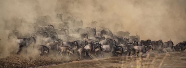 Kenya's Tourism and Wildlife Minister Najib Balala on progressive travel and tourism policy frameworks